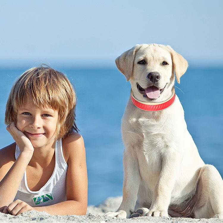 Hund und Kind am Strand mit GPS Tracker