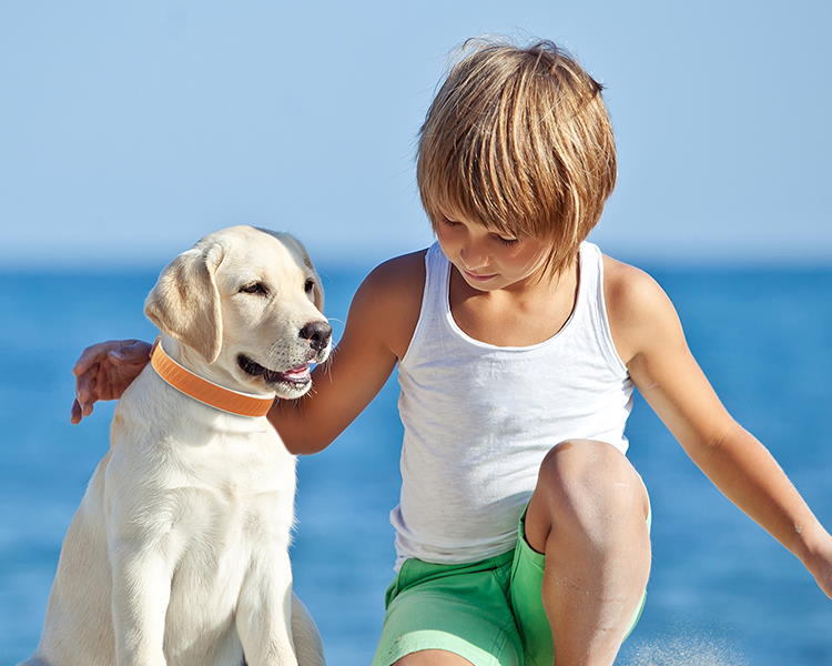 Hund und Kind am Strand mit GPS Halsband