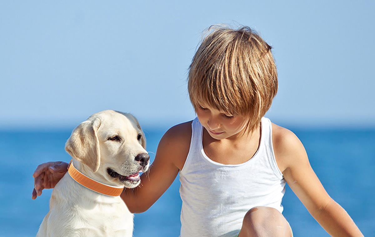 Hund mit GPS tracker mit Kind am Strand