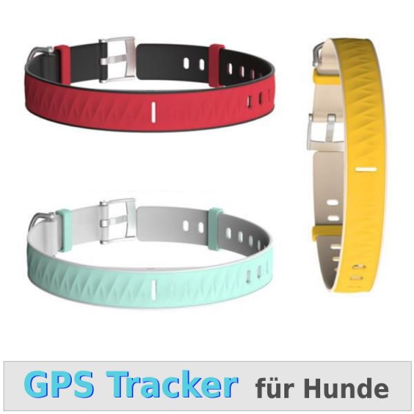 Guinness Udlænding Sky GPS Halsband Das Gps Tracker Halsband